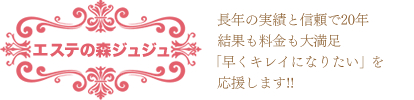 �G�X�e�̐X�W���W����15�N�̎���